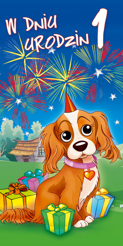 Polish 1st Birthday Cards - DL