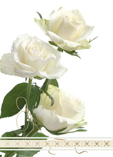 Polish Greeting Cards Flowers with no Text - B6