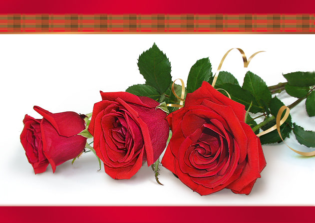 Polish Greeting Cards Flowers with no Text - B6
