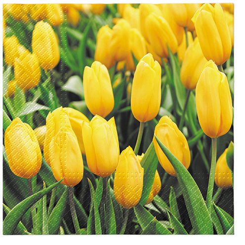 Paper Napkins Yellow Tulip Field